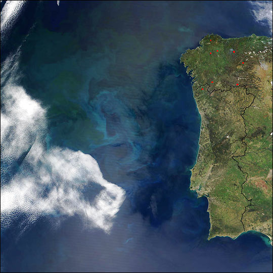image from NASA Earth Observatory.