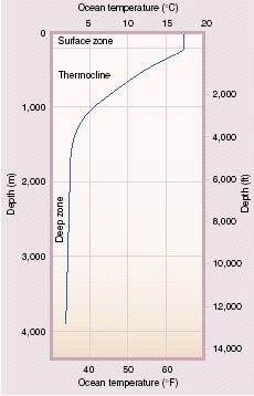 SST vertical structure
