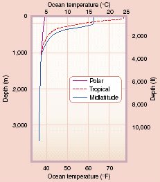 SST vertical structure, latitudinal distribution
