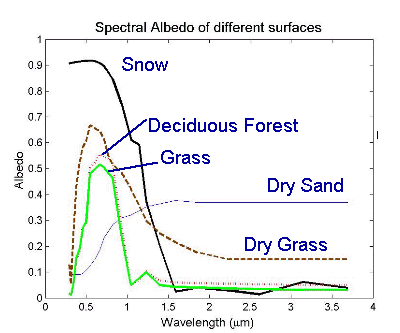Spectral reflecantance image