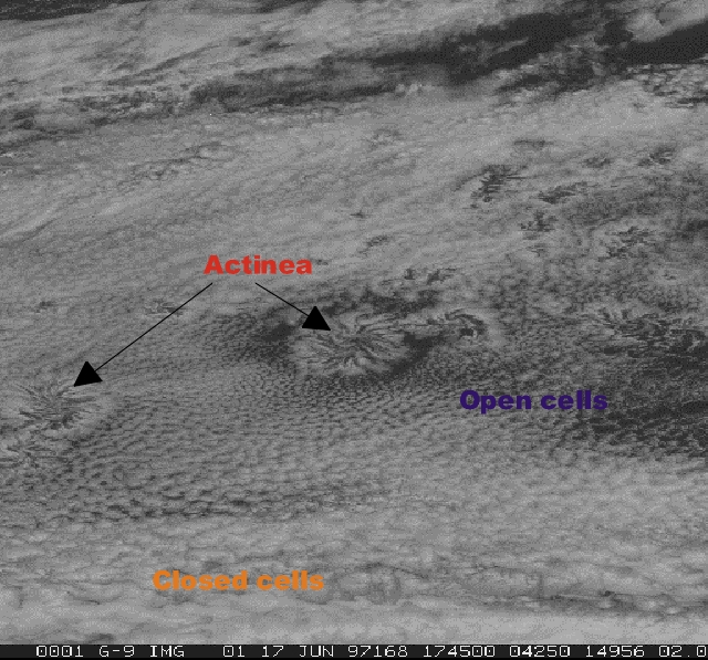 actinea image from GOES 9
